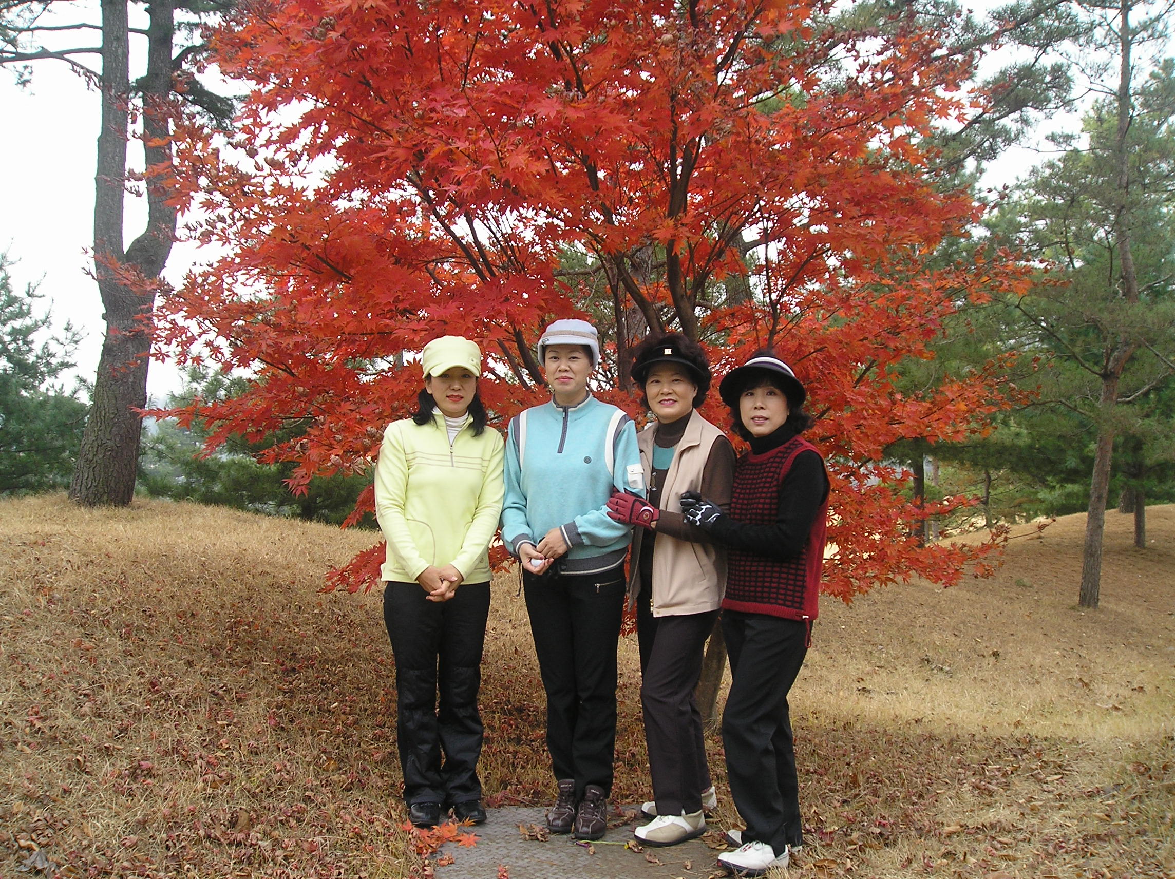 IMG ���� ��ȣȸ