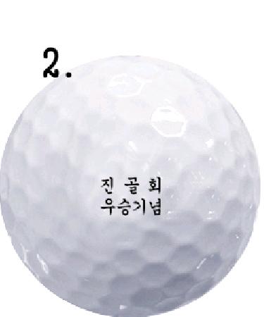 ������ȸ��