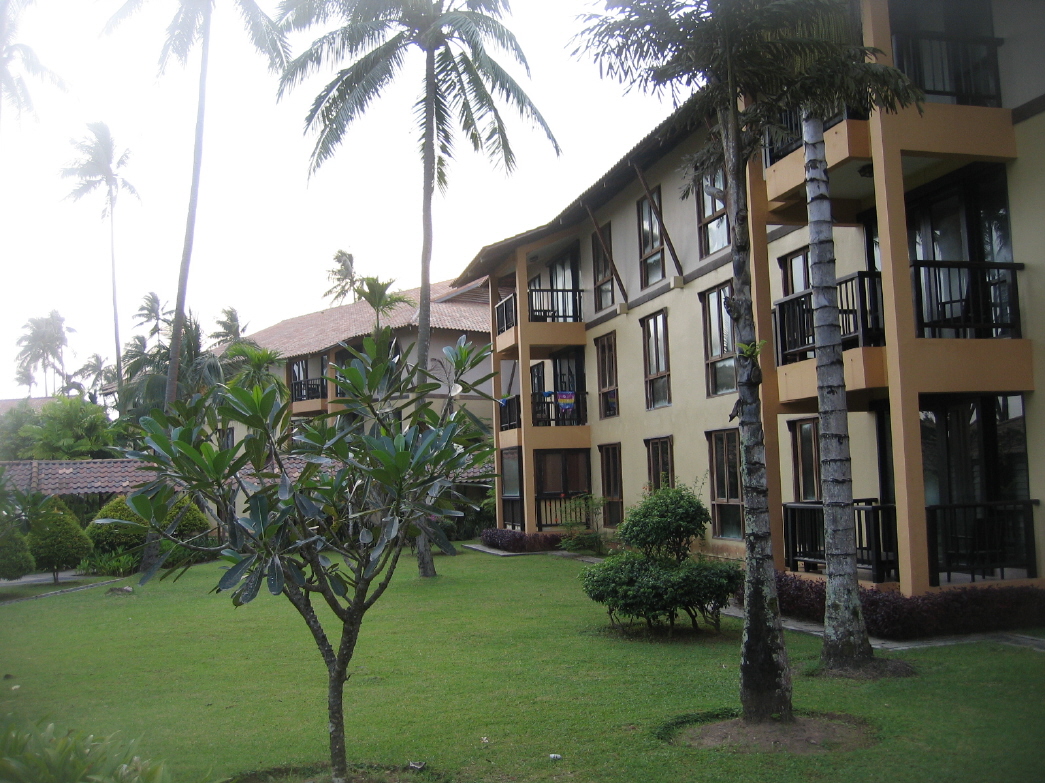 ������ȣȸ