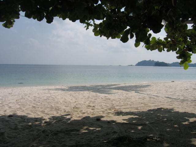 ������ȣȸ