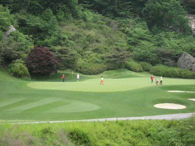 ������ ����ȸ