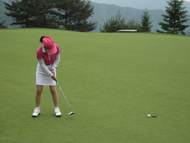 ������ ����ȸ