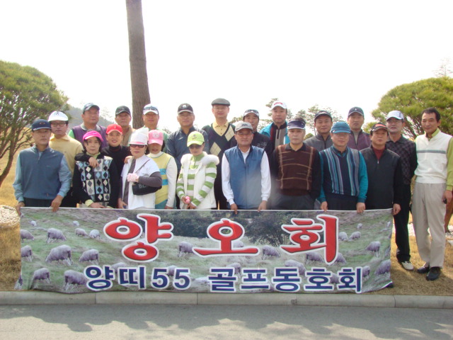 ���ȸ(������)