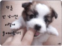 �������丮