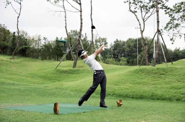 �鵹��õ��