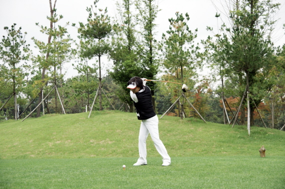 �鵹��õ��