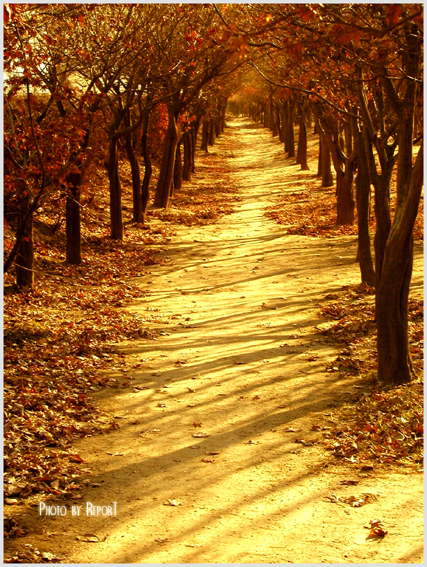 ���ֿ� ������