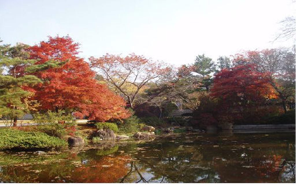 ���ֿ� ������