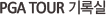 PGA TOUR ��Ͻ�