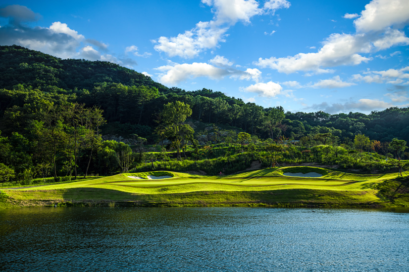 ũ�����븮